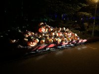 IMG_8759.jpeg