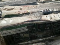 IMG_8369.jpeg