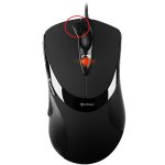 fireglider_black_02.jpg