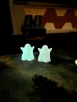 IMG_4231.jpeg