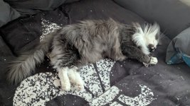 PXL_20251102_125525012.jpg PXL_20251102_125525012.jpg