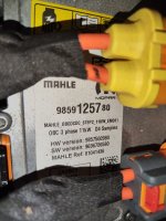 IMG_20250615_111849.jpg IMG_20250615_111849.jpg