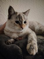 WhatsApp Image 2025-11-26 at 14.22.38.jpeg