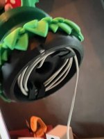 IMG_5555.jpeg IMG_5555.jpeg