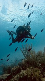 15B95F01-9D87-41BF-B874-0FB8B96D248D.jpeg 15B95F01-9D87-41BF-B874-0FB8B96D248D.jpeg