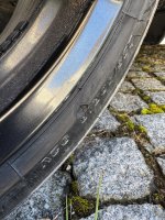 IMG_8291.jpeg IMG_8291.jpeg