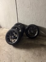 IMG_8310.jpeg IMG_8310.jpeg