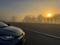 IMG_8362.jpeg IMG_8362.jpeg