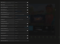 1b - Settings Adrenalin - GPU 1.PNG