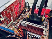 IMG_8549.jpeg IMG_8549.jpeg