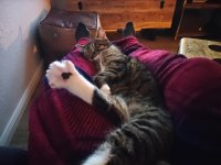 WhatsApp Image 2026-02-07 at 18.59.05.jpeg