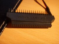 SSL11284.JPG
