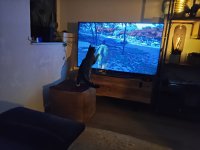 IMG20260201195506.jpg