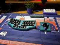 IMG_8358.jpeg