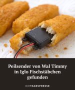 neues-von-timmy-v0-bjk0khuvynzg1.jpeg