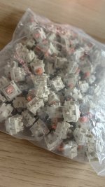 IMG_5629.jpeg