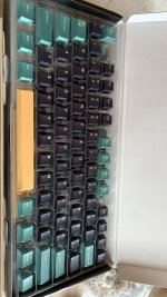 IMG_5631.jpeg