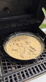 IMG_1797.jpeg