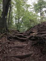 IMG_5244.jpeg