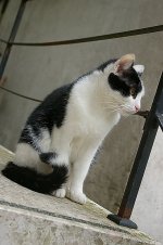 IMGP7641.jpg