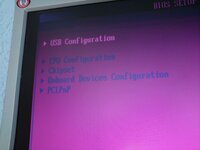 DSC01367.jpg