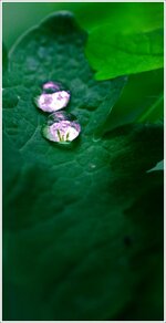 comp_IMG_3014.jpg