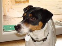 DSC01004.jpg