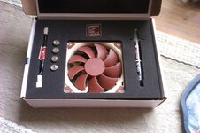 noctua.jpg
