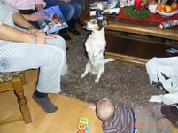 Aurich Weihnachten 2011 182.jpg
