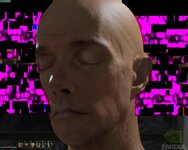HumanHead 2007-05-22 20-47-09-90.JPG