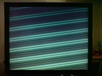 DSC01923.jpg