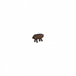 360fx360f.png