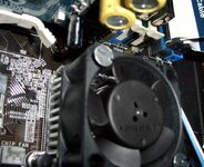 cimg1706a.jpg