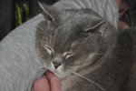 DSC_0140.jpg