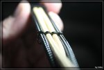 20170507_a-cool-combs_15.jpg 20170507_a-cool-combs_15.jpg