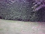 IMG_20160821_135754.jpg IMG_20160821_135754.jpg