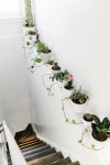 The-White-Haven-Indoor-Plants-on-Stairways.jpg The-White-Haven-Indoor-Plants-on-Stairways.jpg