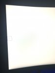 IMG_3983.jpeg IMG_3983.jpeg