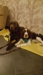 IMG-20171011-WA0006.jpg