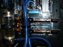 DSCI0256.jpg