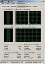 Windows Taskmanager Systemleistung.jpg