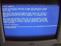 CIMG0382.1.JPG