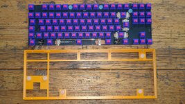 20210912-KBD8XMKII (7).JPG