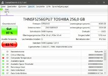 CDI 256GB Toshiba XG3 THNSF5256GPU7.JPG