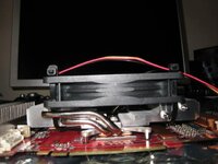 IMG_0240.jpg