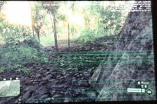 Crysis.JPG