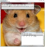 imagejhamster.jpg