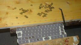 PSD60 HHKB (14).JPG PSD60 HHKB (14).JPG