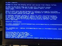 IMG_20110608_075352.jpg
