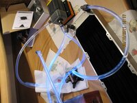 IMG_1006.jpg